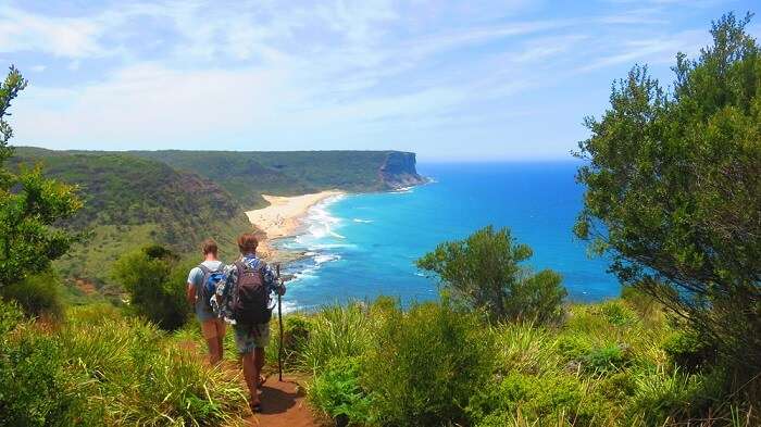 are dogs allowed in national parks nsw