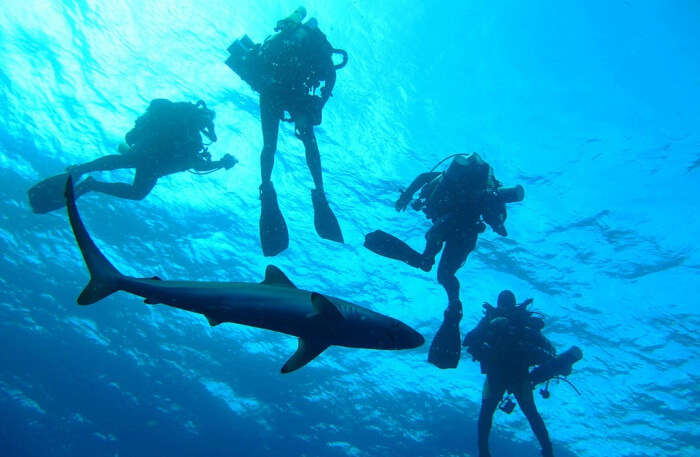 Diving Lessons under water