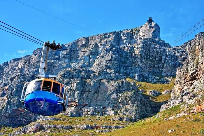 5 Things to Do in Cape Town, South Africa