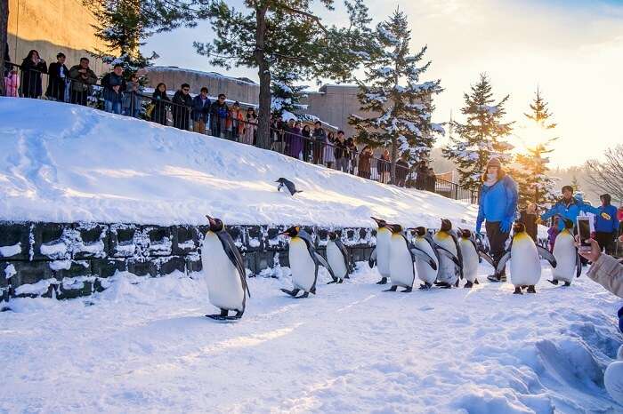 Snowfall In Japan: 10 Fun-Tastic Things To Do During It