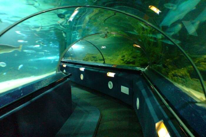 Sea Aquarium