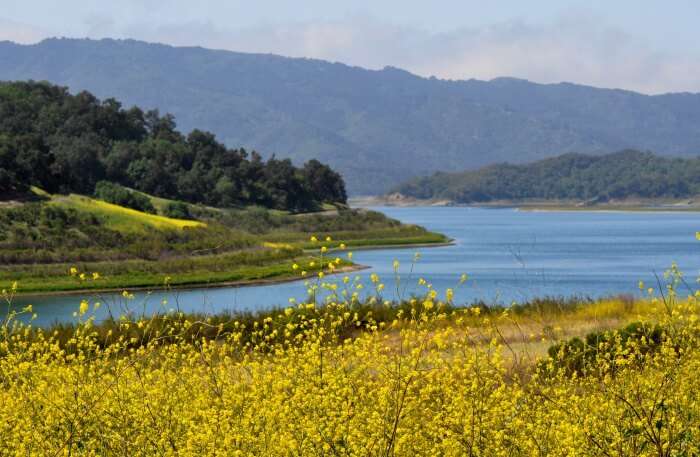 Lake Casitas in Los Angeles