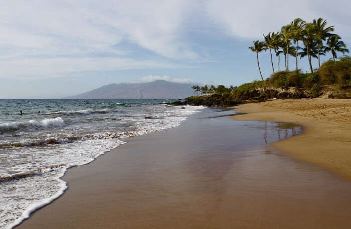 Mixture Of Golden And Black Volcanic Sand