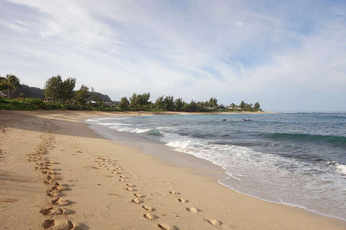 North Shore Coastal Walk