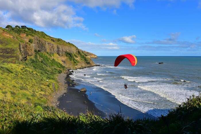 Best of Paragliding in Auckland