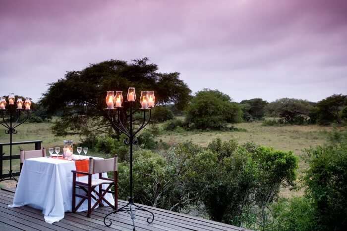 Phinda Forest Lodge