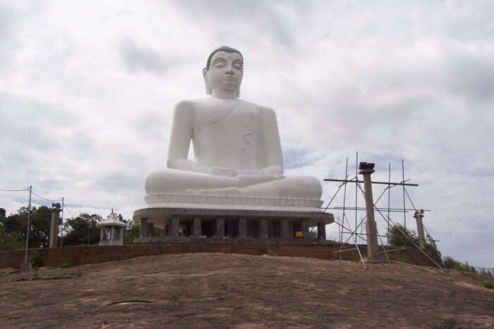 Samadhi Meditation Buddha