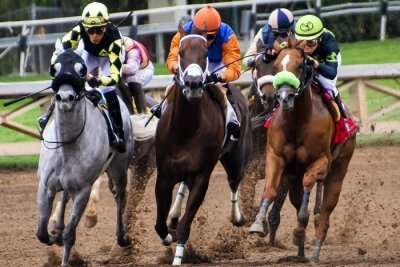 Scottsville Racecourse