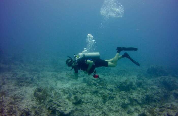 Scuba