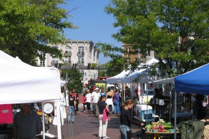 The Bi-Weekly Farmer’s Market