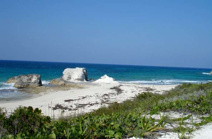 The Stocking Island