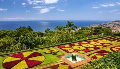 Things To Do In Madeira