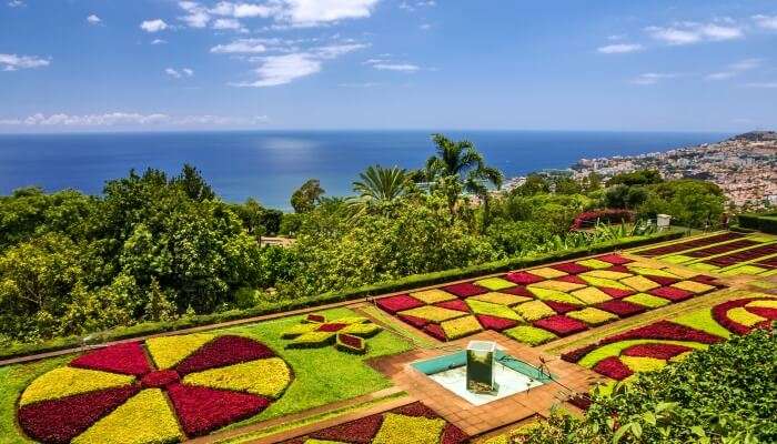 Things To Do In Madeira