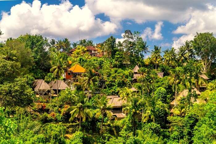 Gorgeous Tjampuhan's Sacred Hills