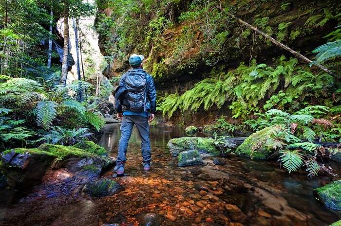 Trekking Sites In Sydney