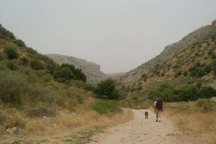 Trekking at Israel National Trail