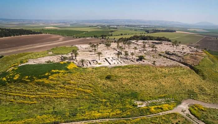 Trip To Tel Megiddo