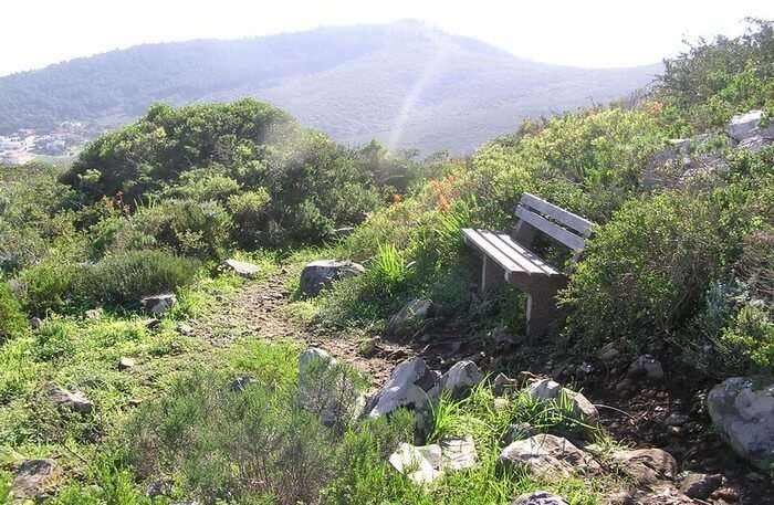Tygerberg Nature Reserve