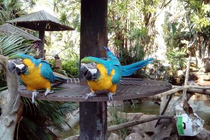 Umgeni River Bird Park