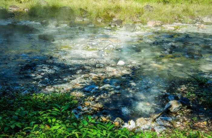 Hot Spring Park View