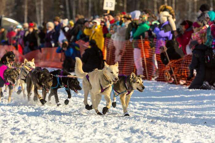 Best Festivals in Alaska