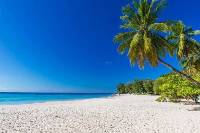 Amazing Beau Vallon Beach