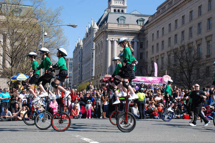 Amazing Festivals In Washington DC