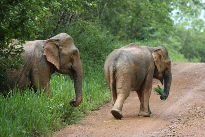 Amazing Kui Buri National Park