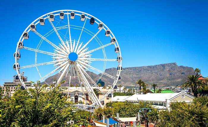 5 Theme Parks In Cape Town To Seek Adventure Amidst Nature