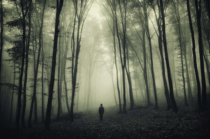 650+ Creepy HD Wallpapers and Backgrounds