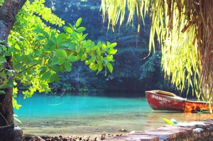 hot springs in jamaica