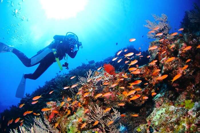 japan scuba diving cover