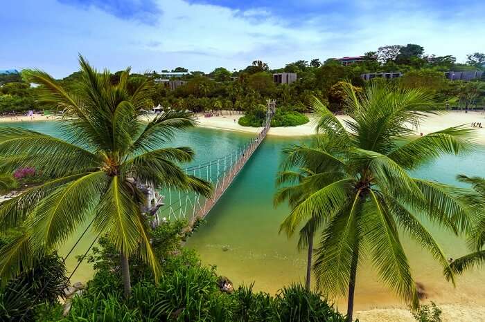 singapore Palawan beach cover