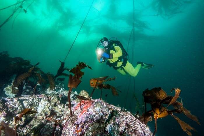 snorkelling