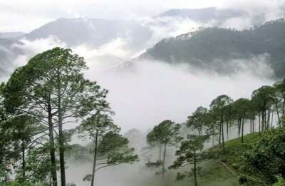 Araku Valley View