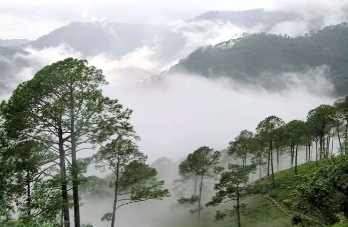 Araku Valley View