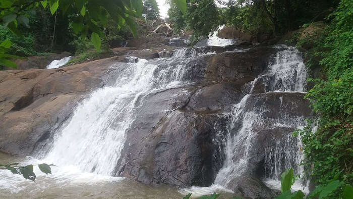 Kottayam Tourist Places Kumarakom