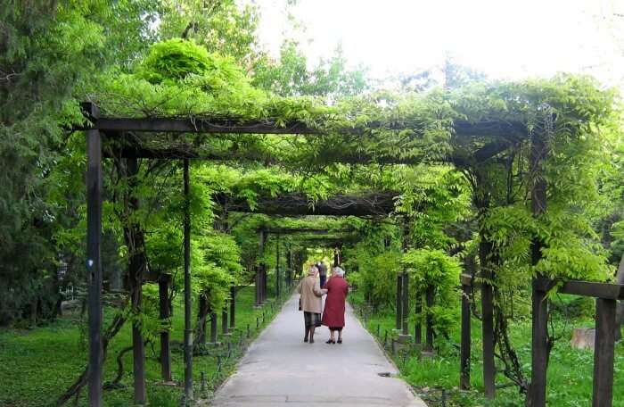 Cișmigiu Gardens