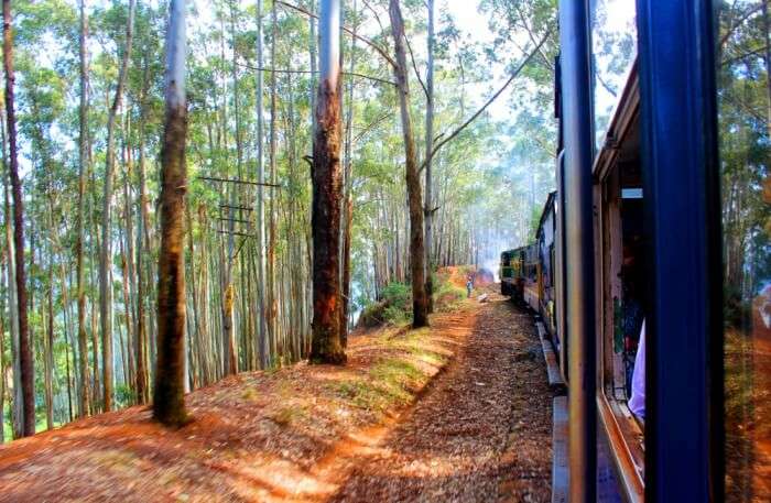 Coonoor