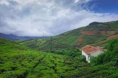 An enchanting view of Coorg tea plantations, one of the spectacular places to visit in India in June