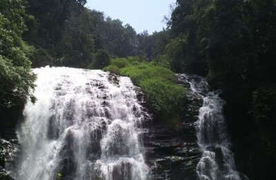 Waterfall View