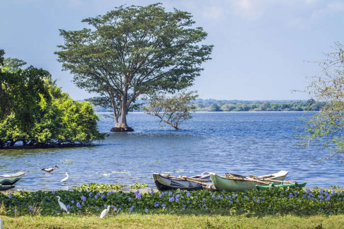 Puttalam in Sri Lanka