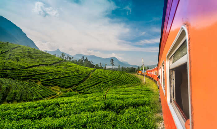 A train in Badulla in Sri Lanka