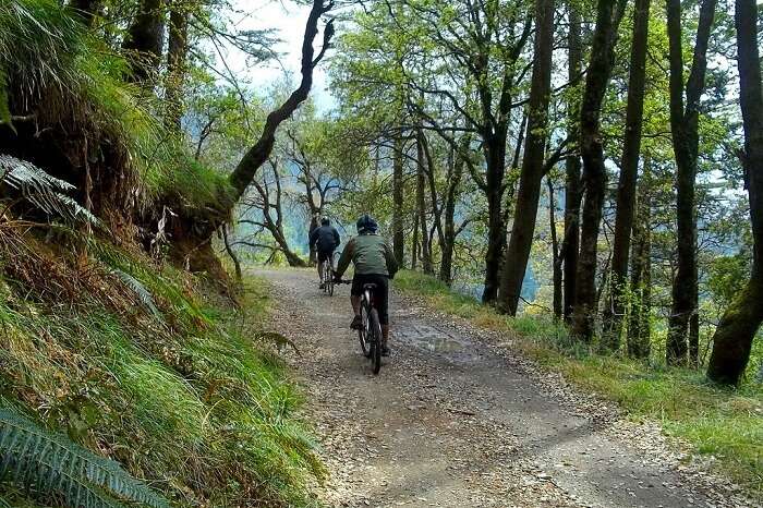 Cycling