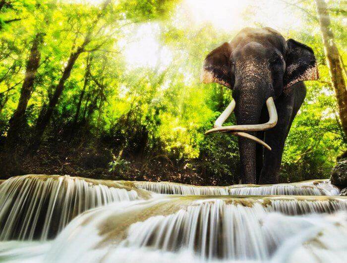 Erawan-National-Park