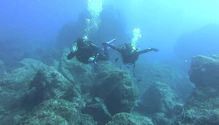 Madeira Diving Center View