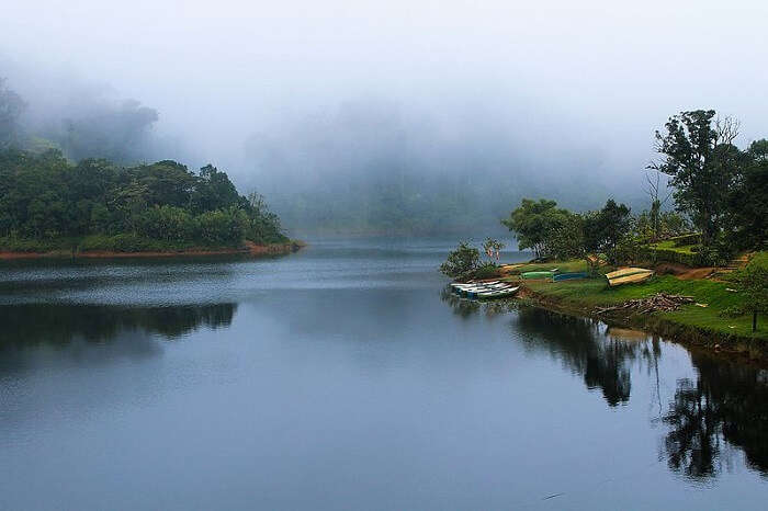 misty mountains of gavi
