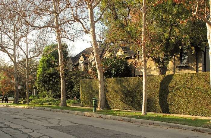 Park view