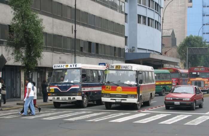 Buses view