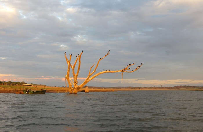 Kabini